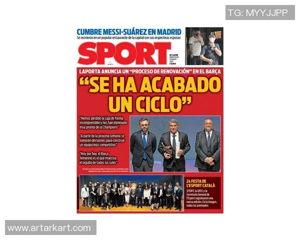 深圳排球队技术深度解析：从基本功到战术运用的全面探讨